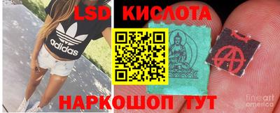 гидропоника Донецк