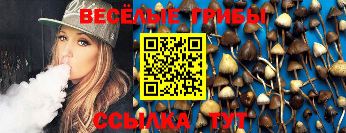 Псилоцибиновые грибы GOLDEN TEACHER  Вход с VPN  купить наркоту  Кузнецк 