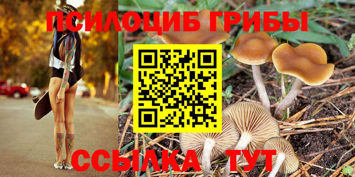Галлюциногенные грибы GOLDEN TEACHER Кузнецк